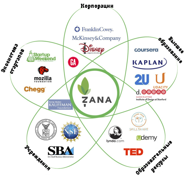 Анализ конкурентного окружения стартапа - лепестковая диаграмма